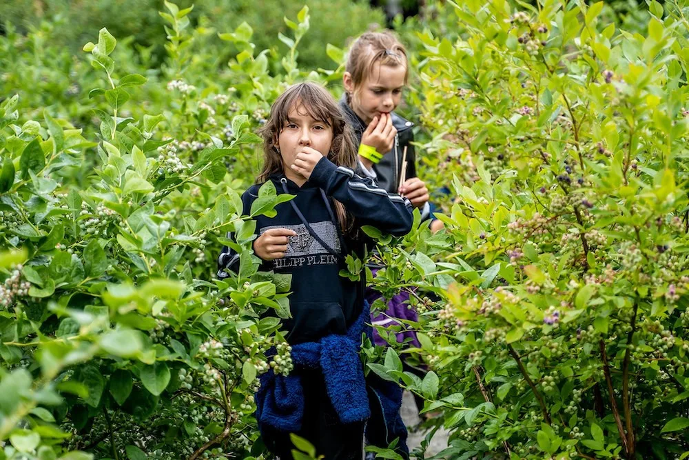 Vstupenky na Borůvkobraníčko je nutné předem rezervovat, na místě již nebudou k dispozici