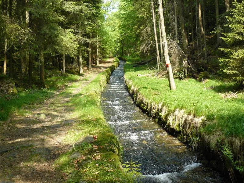 ilustrační foto.