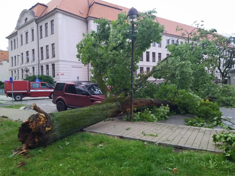Silná bouře v Budějcích poničila dva tisíce kubíků stromů. Likvidace škod potrvá měsíc