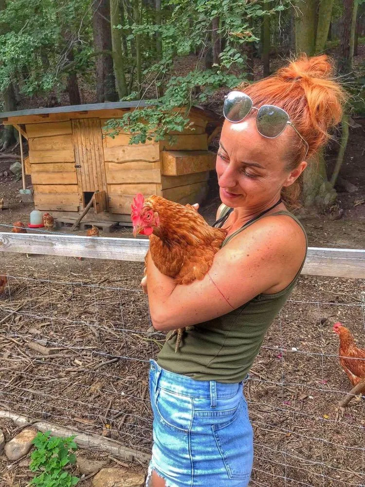 Farma Krmítko. Poznejte život odložených hospodářských zvířat
