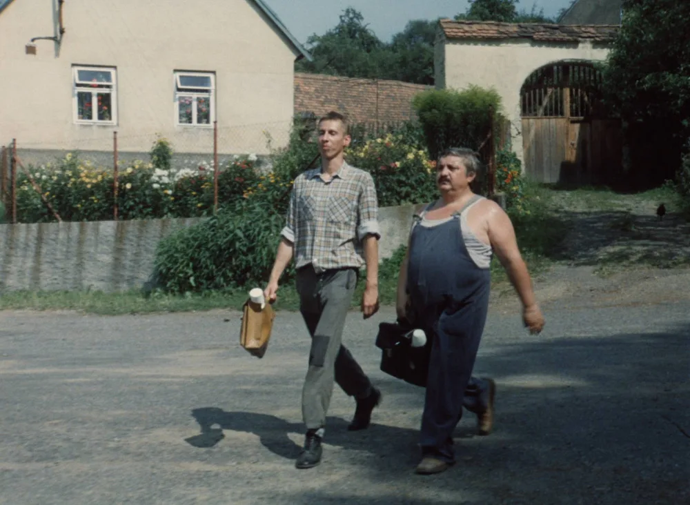 ilustrační foto.