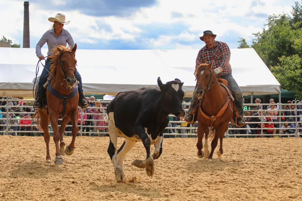 Přijďte na sobotní rodeo do Boršova