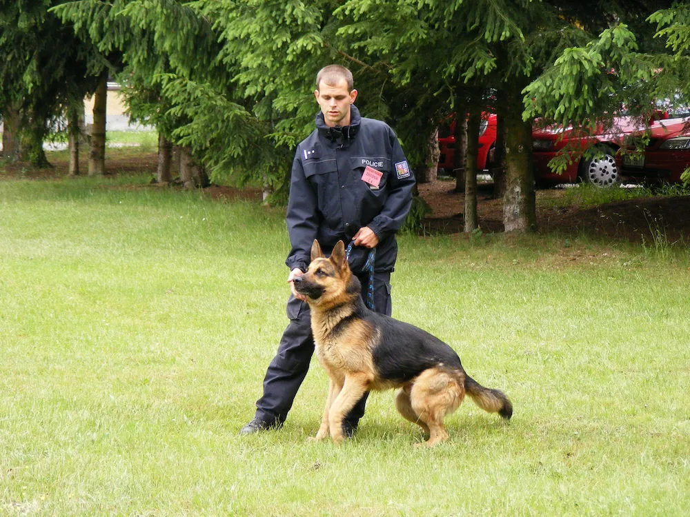 Den s Integrovaným záchranným systémem. Policie zve k lipenské přehradě