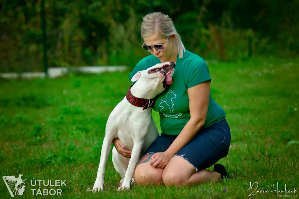 Mladá fenka argentinské dogy hledá nový domov. Nechbet miluje mazlení a chce poznávat svět