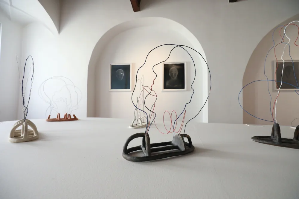 Alšova jihočeská galerie představí tvorbu sochařky Jindry Vikové