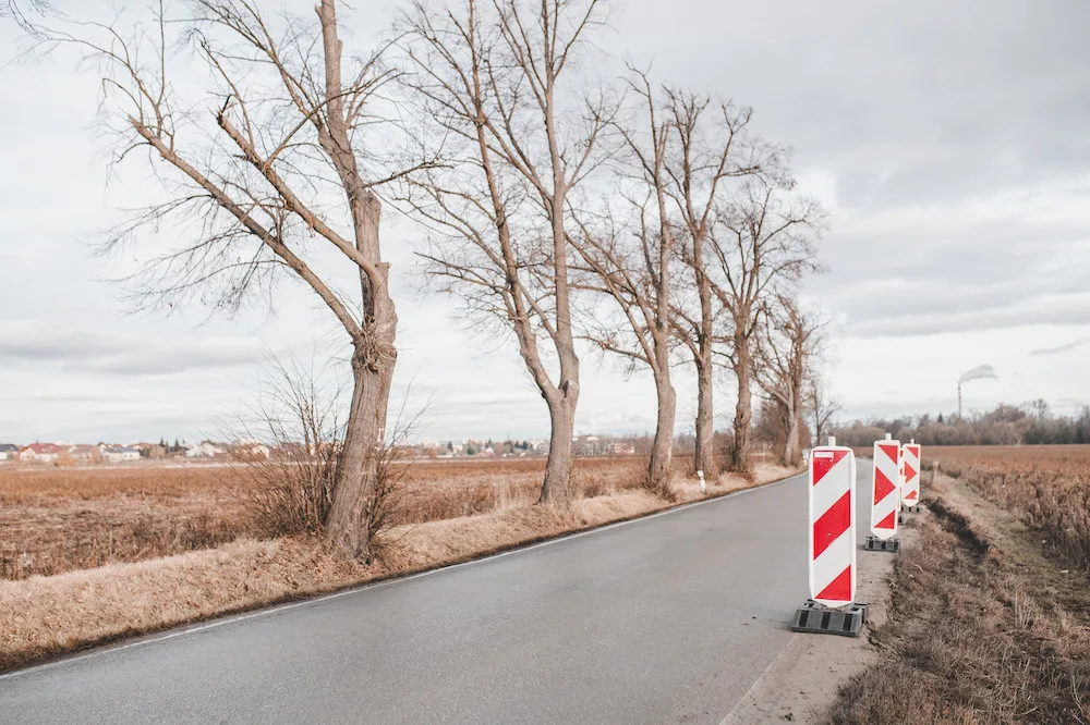 Lokalita Děkanská pole se nachází podél silnice mezi Českými Budějovicemi a Roudným.