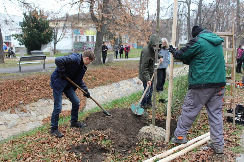 Studenti Česko-anglického gymnázia vysázeli v Suchém Vrbném deset lip