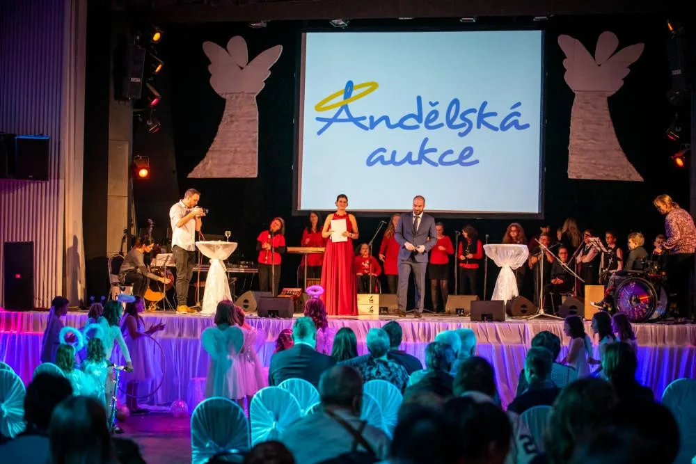Poprvé za třináct let se charitativní Andělská aukce uskuteční online.