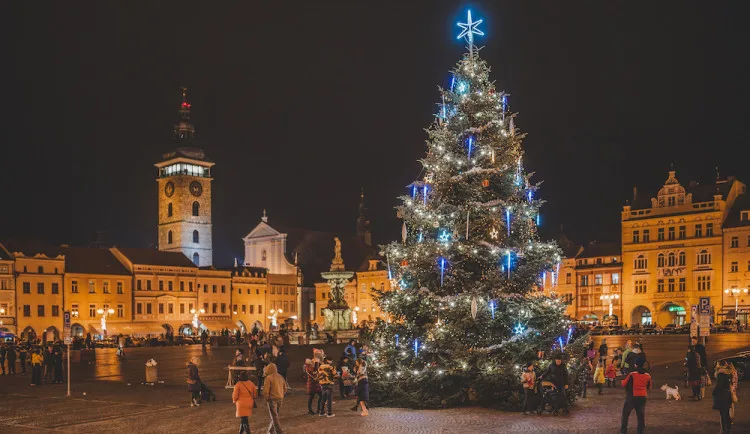 Vánoční strom na náměstí Přemysla Otakara II. z roku 2020.