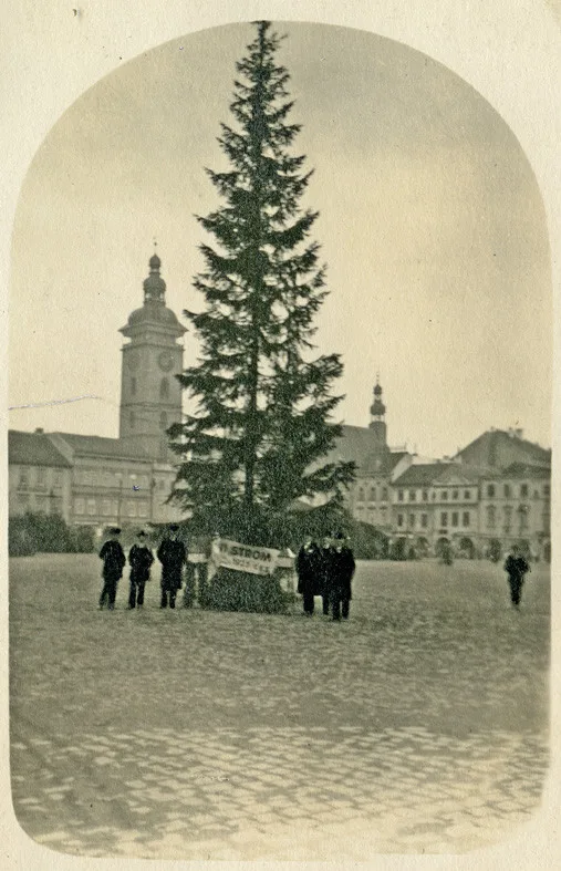 Foto stromu 20. 12. 1925
