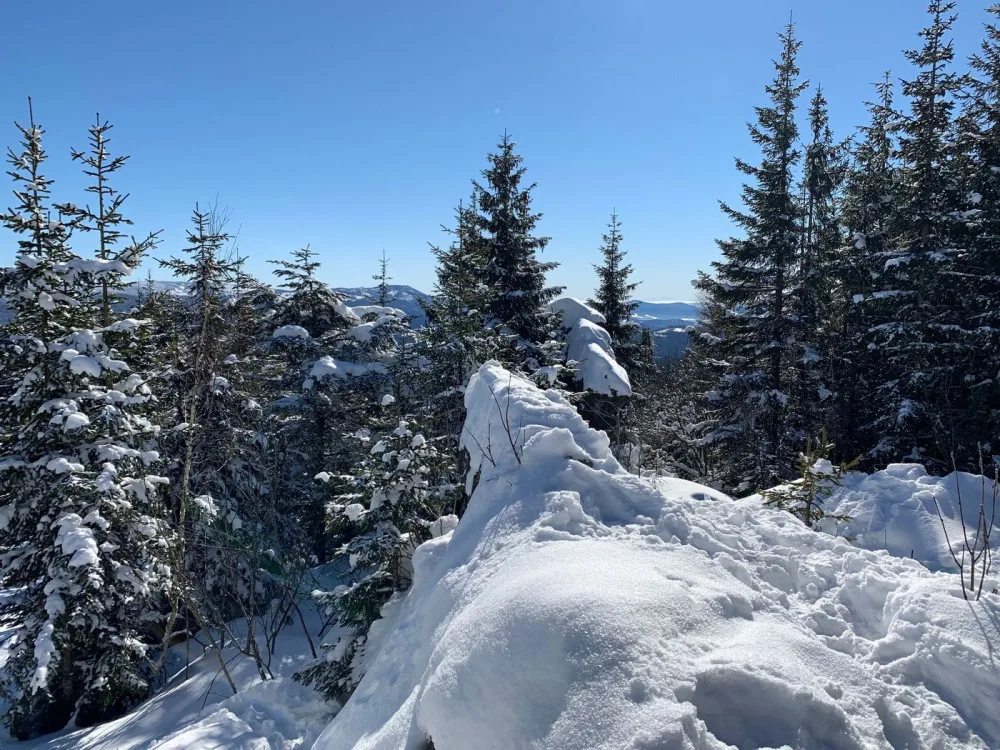 Agresivní skialpinista napadl dva strážce národního parku Šumava, způsobil jim četná zranění