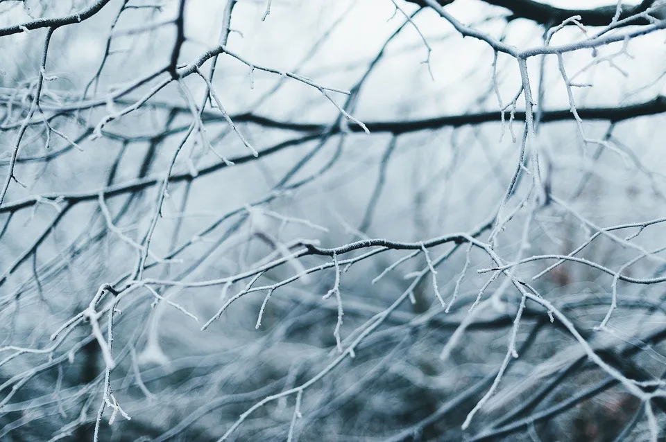 Březen se uvedl mrazivým ránem, na Kvildě bylo minus 20 stupňů