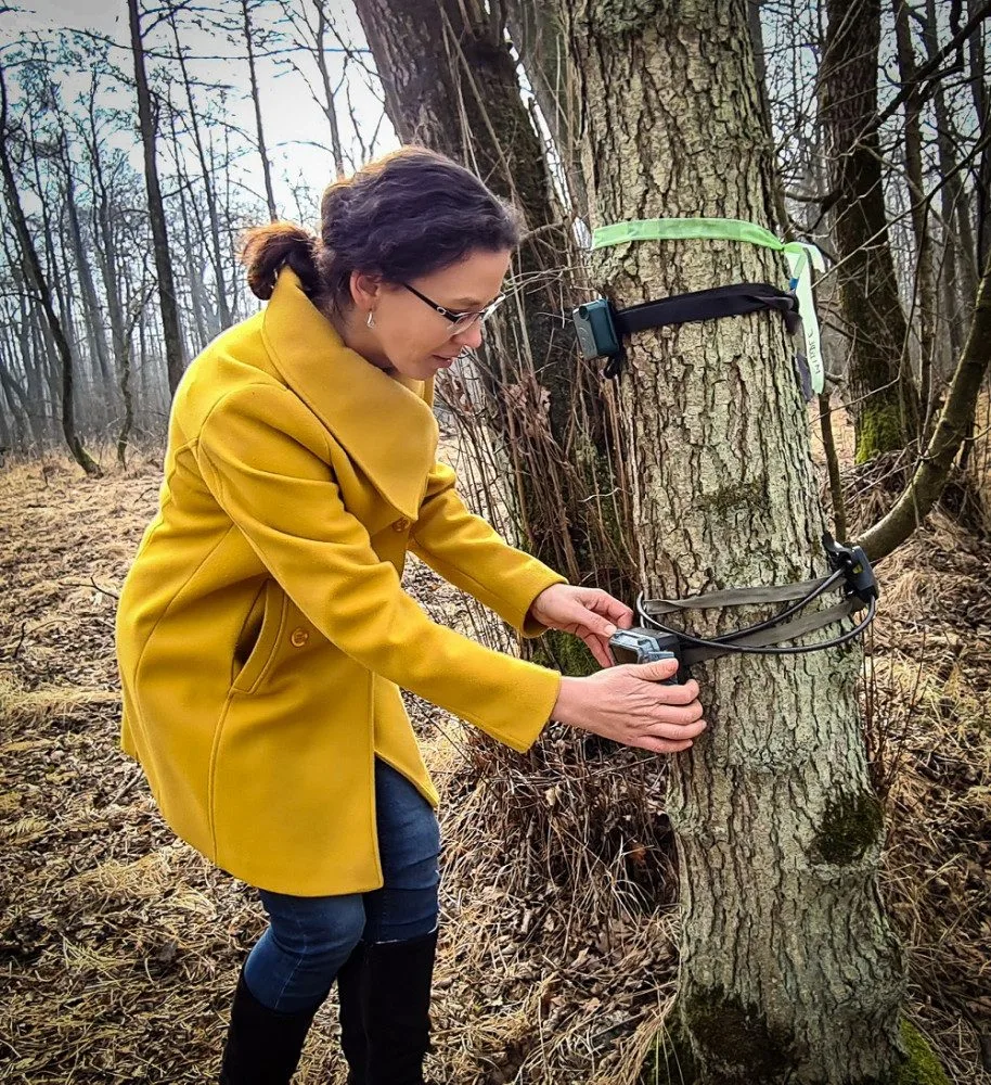 „Dochází tady k absurdním situacím, kdy se každý týden něco ztratí. Letos máme evidovanou škodu za 50 tisíc korun, loni to bylo celkem 70 tisíc korun,“ uvedla Kateřina Sam z biologického centra.