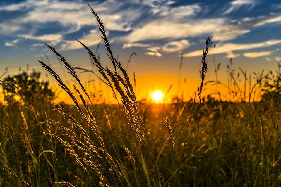 Víkend bude většinou slunečný, teploty dosáhnou maximálně deseti stupňů