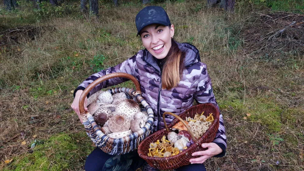 Šumavská houbička inspiruje tisíce lidí k houbařským výpravám do lesa v každém ročním období