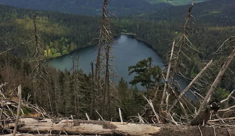 Rada parku se nedohodla na zásadách péče o Národní park Šumava