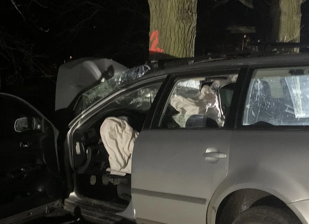 Tři lidé zemřeli při tragické nehodě na Jindřichohradecku. Auto narazilo do stromu, svědci slyšeli hlasitou ránu