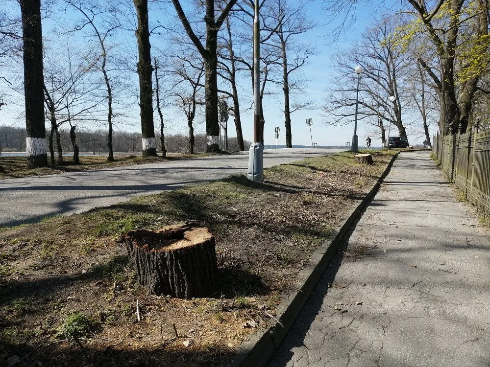 Chodník mezi rybníkem a parkem se zvětší, poslouží chodcům i cyklistům.