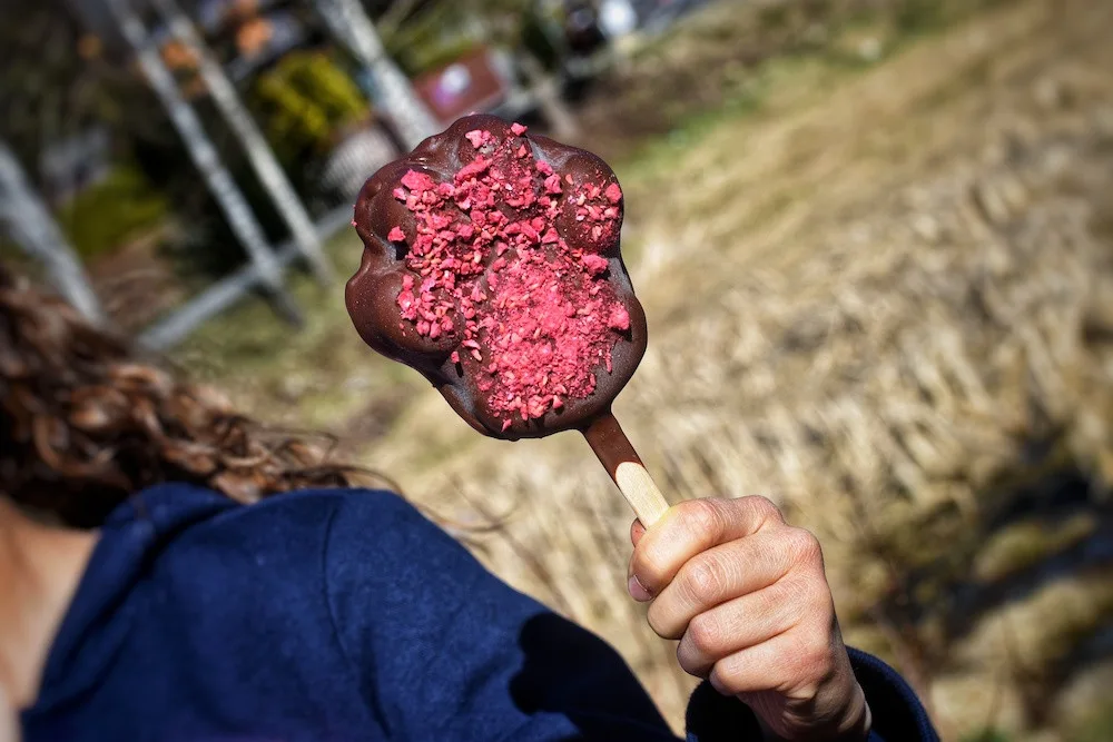 Království lesa na Lipně otevírá své brány