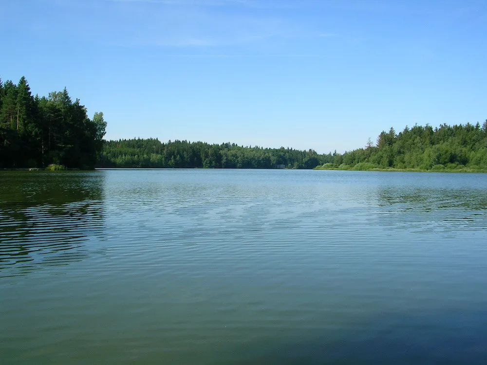 Čtyři rybníky na Jindřichohradecku jsou nově přírodními památkami