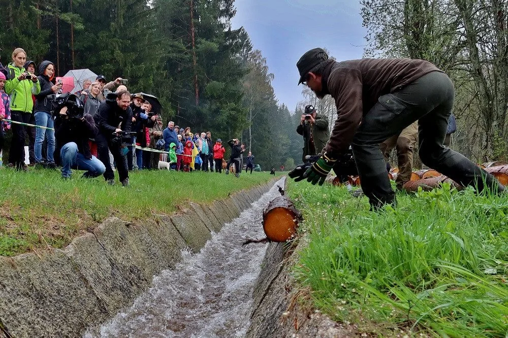 Želnavským smykem se po více než 60 letech plavilo dříví. Rekonstrukce trvala tři roky