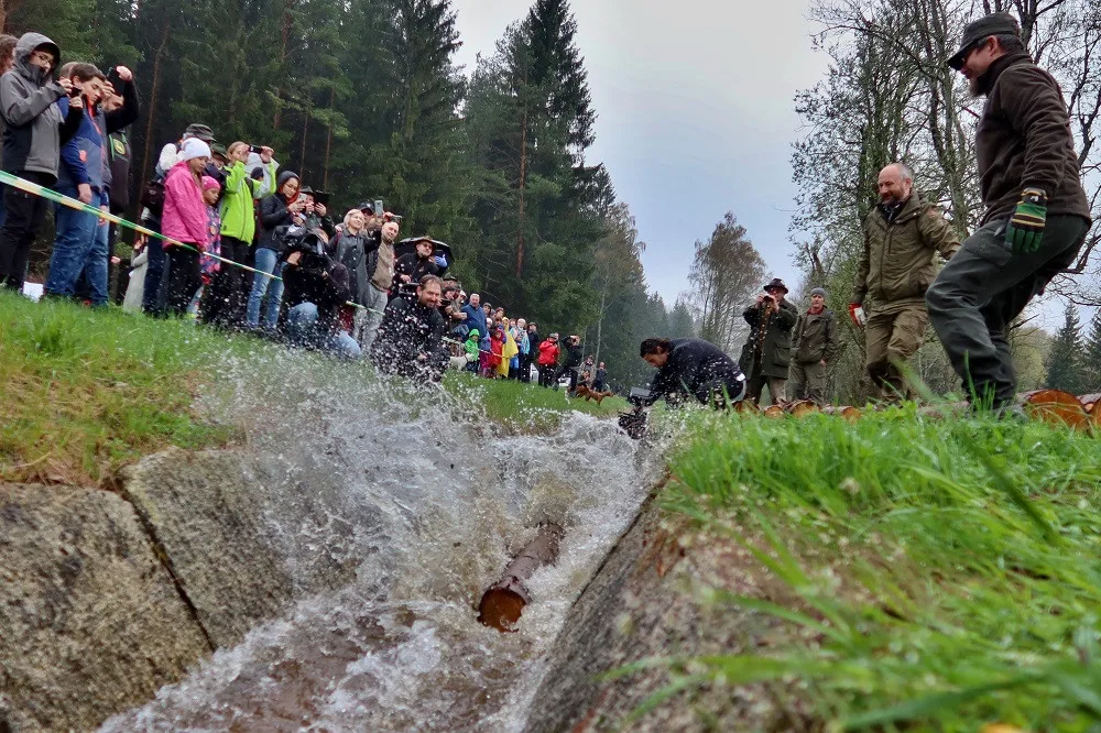 Želnavským smykem se po více než 60 letech plavilo dříví. Rekonstrukce trvala tři roky
