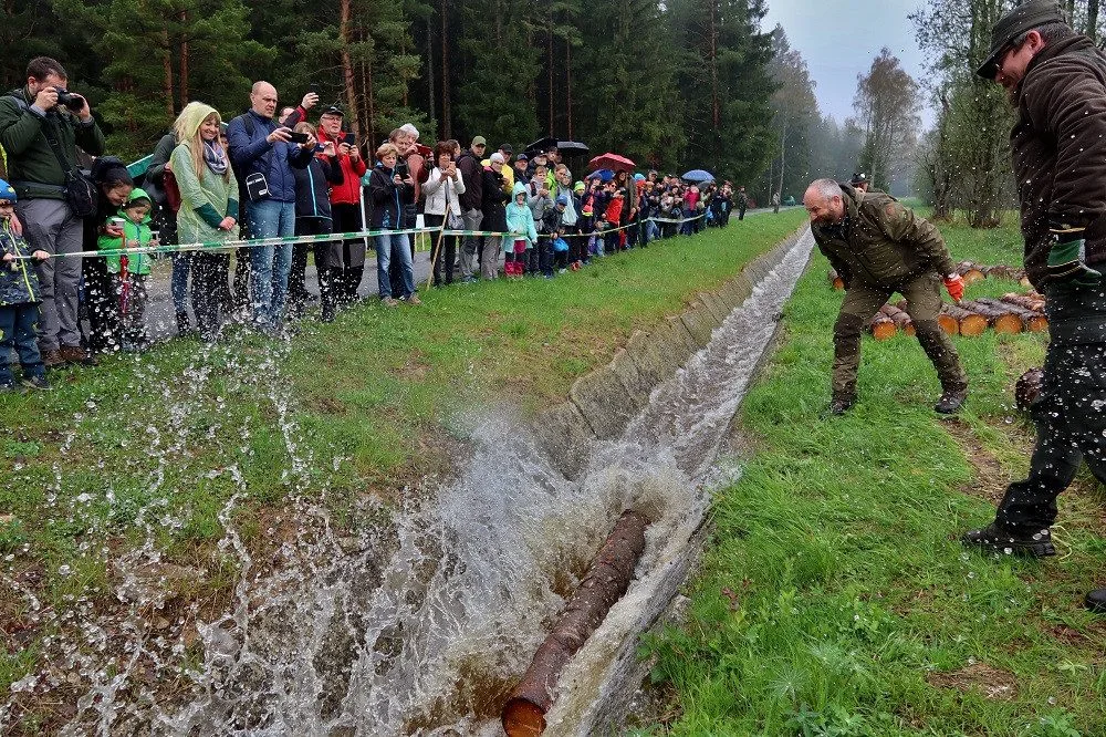 Želnavským smykem se po více než 60 letech plavilo dříví. Rekonstrukce trvala tři roky