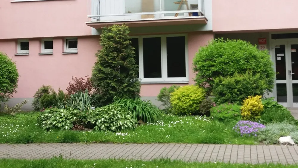 Radnice rozdává štědré ceny za květiny