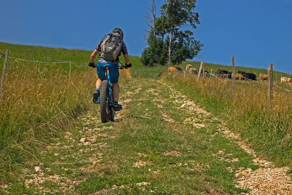 Muž na elektrokole se srazil s cyklistkou a ujel. Žena utrpěla otřes mozku