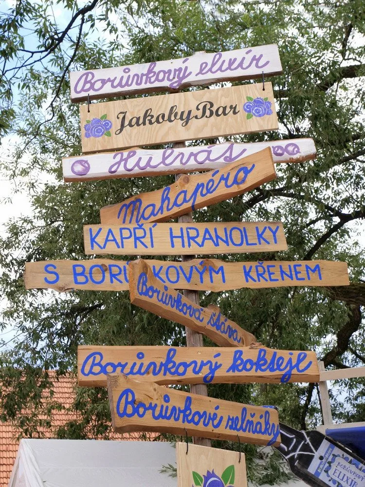 Přijeďte o víkendu na borovanské Borůvkobraní