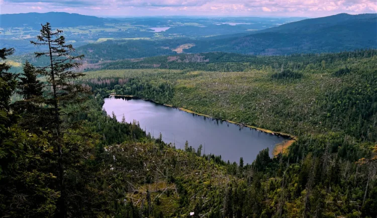Strážci Národního parku Šumava budou mít kvůli agresivním turistům na uniformách kamery