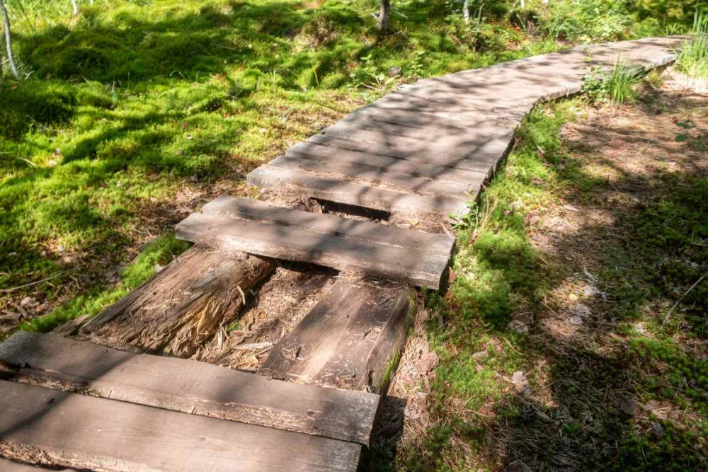 Národní park uzavře Soumarské rašeliniště. Kvůli stavbě