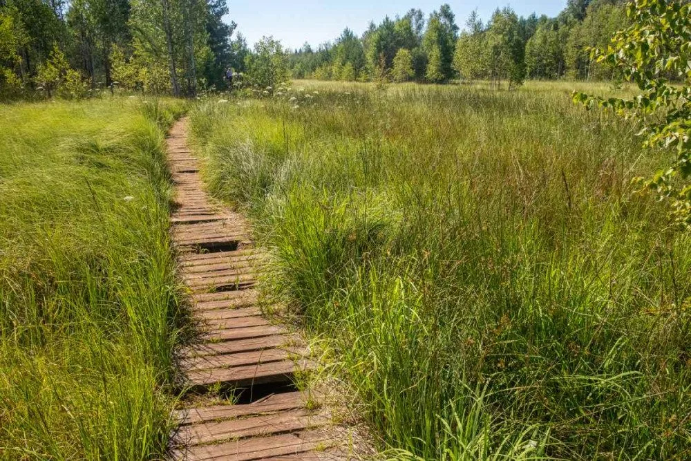 Národní park uzavře Soumarské rašeliniště. Kvůli stavbě