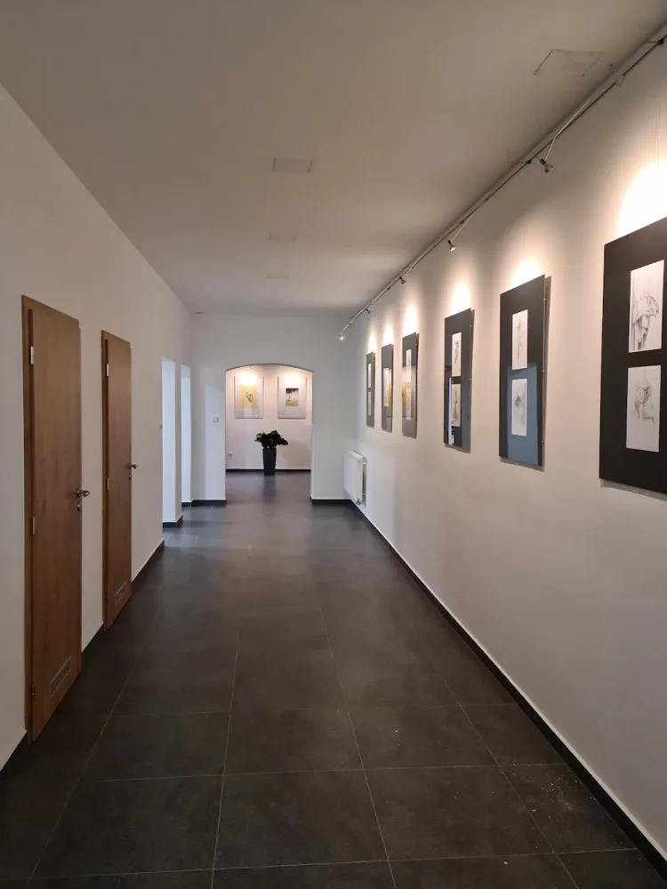 Lišov má novou městskou knihovnu i archiv