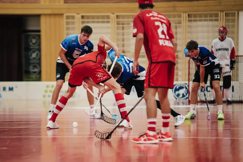 FBC Štíři České Budějovice finišují v přípravách na blížící se sezonu