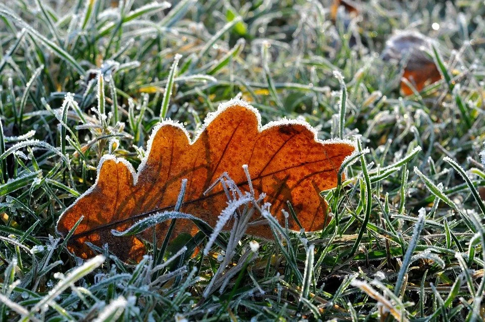 Teploty mírně porostou, na horách bude sněžit, hrozí přízemní mrazíky