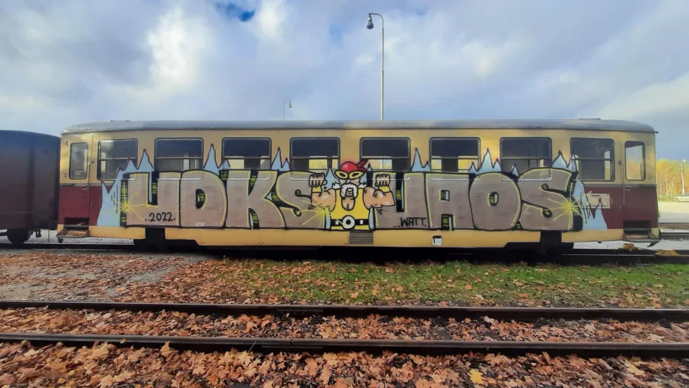 Neznámý vandal posprejoval několik vagonů.