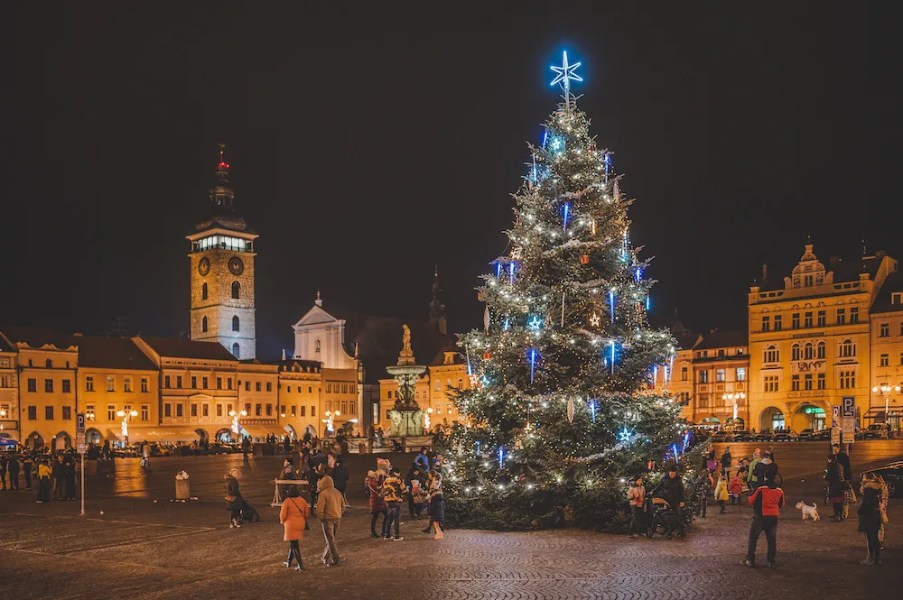 Města už mají vánoční stromy. Budějcké jedli je 40 let