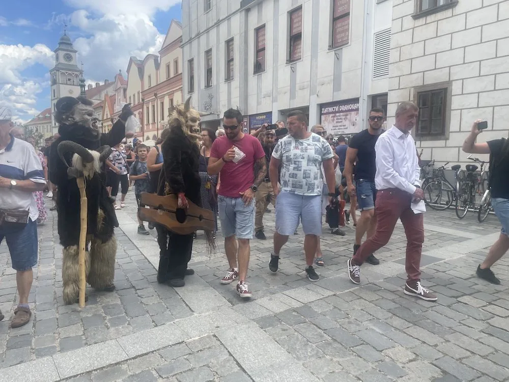 Policie vyhodnotila zákrok v Borovanech jako kázeňský přestupek