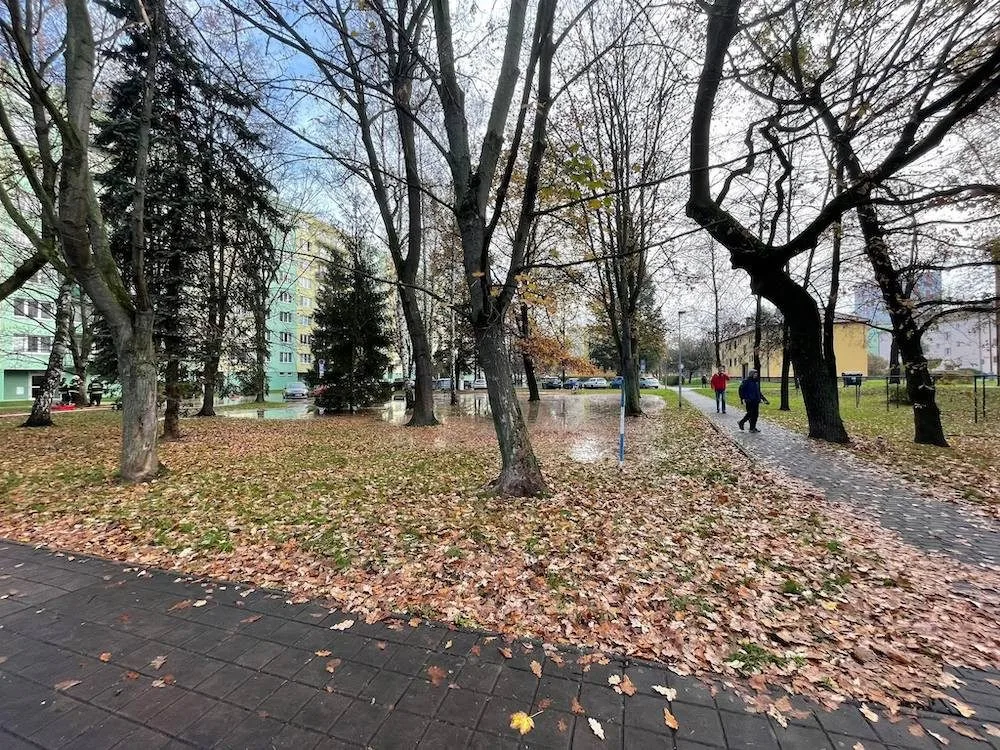 Část Budějc byla od rána bez vody. V Plzeňské prasklo potrubí
