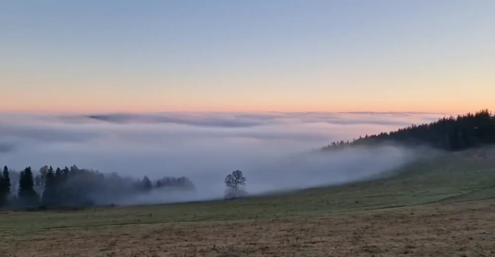 Pondělní ráno na Šumavě, foto: We Love Šumava