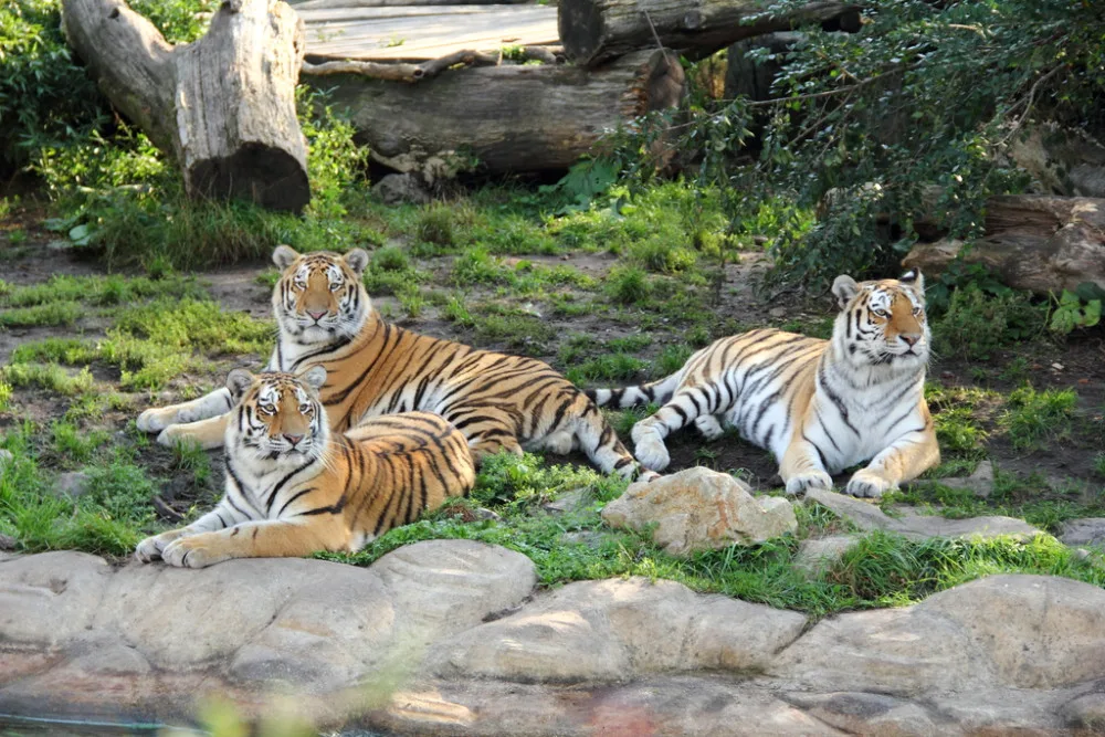 I na podzim má Jihočeská zoologická zahrada co nabídnout
