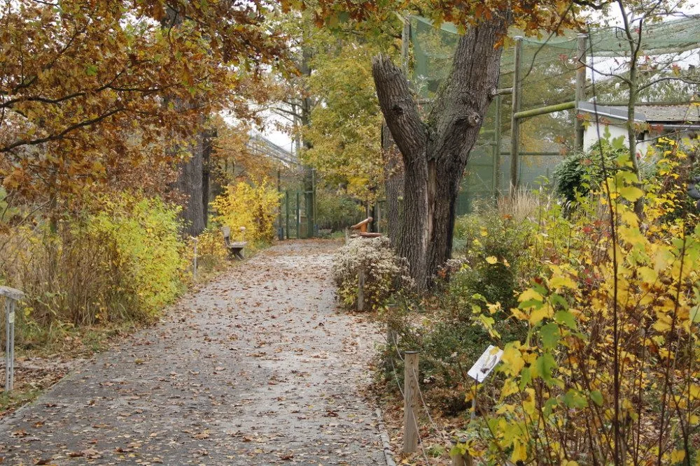 I na podzim má Jihočeská zoologická zahrada co nabídnout