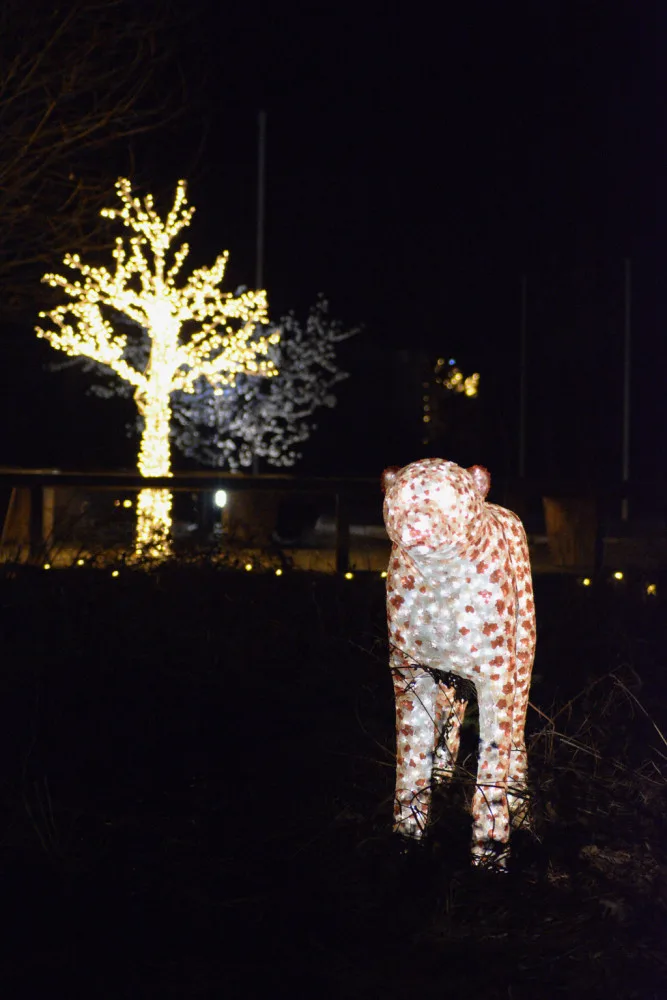 Zoo Hluboká se rozsvítí již v pátek 9. prosince