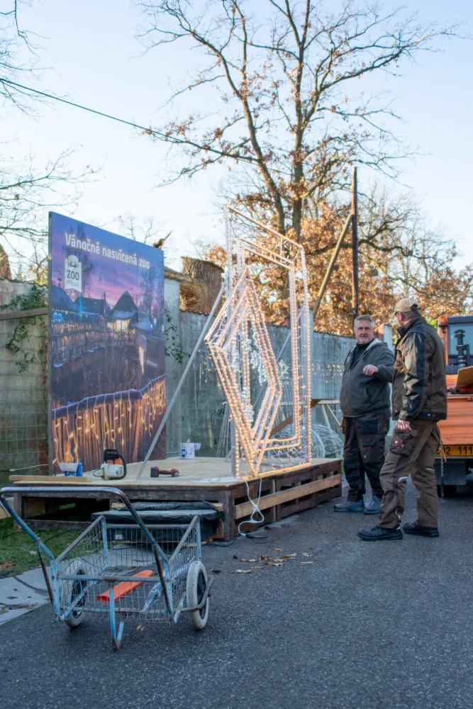 Zoo Hluboká se rozsvítí již v pátek 9. prosince