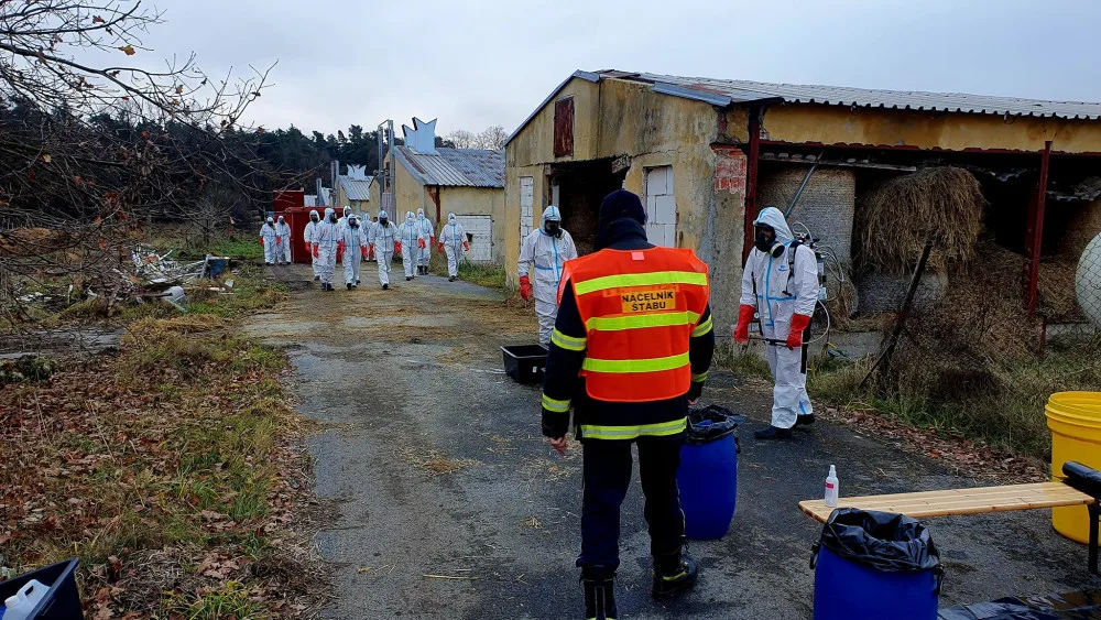 Veterináři zakázali od středy na celém území Česka venkovní chov drůbeže