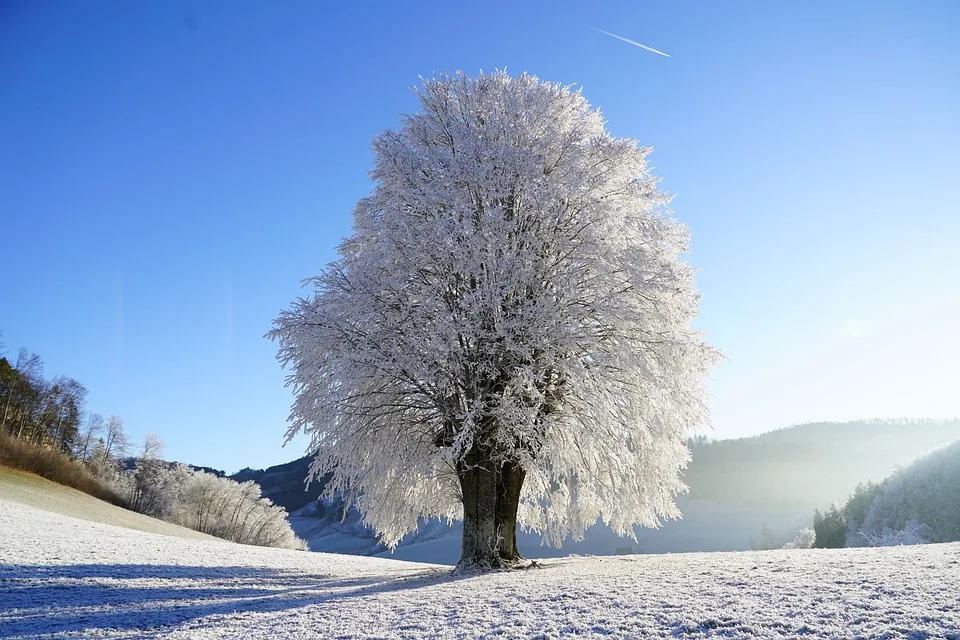 O víkendu vydrží mrazivé počasí, v noci na neděli bude až minus 15 stupňů