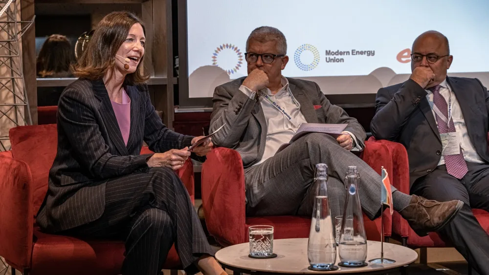Pro energetickou budoucnost je důležitá spolupráce průmyslu, politiků i zákazníků, shodli se odborníci