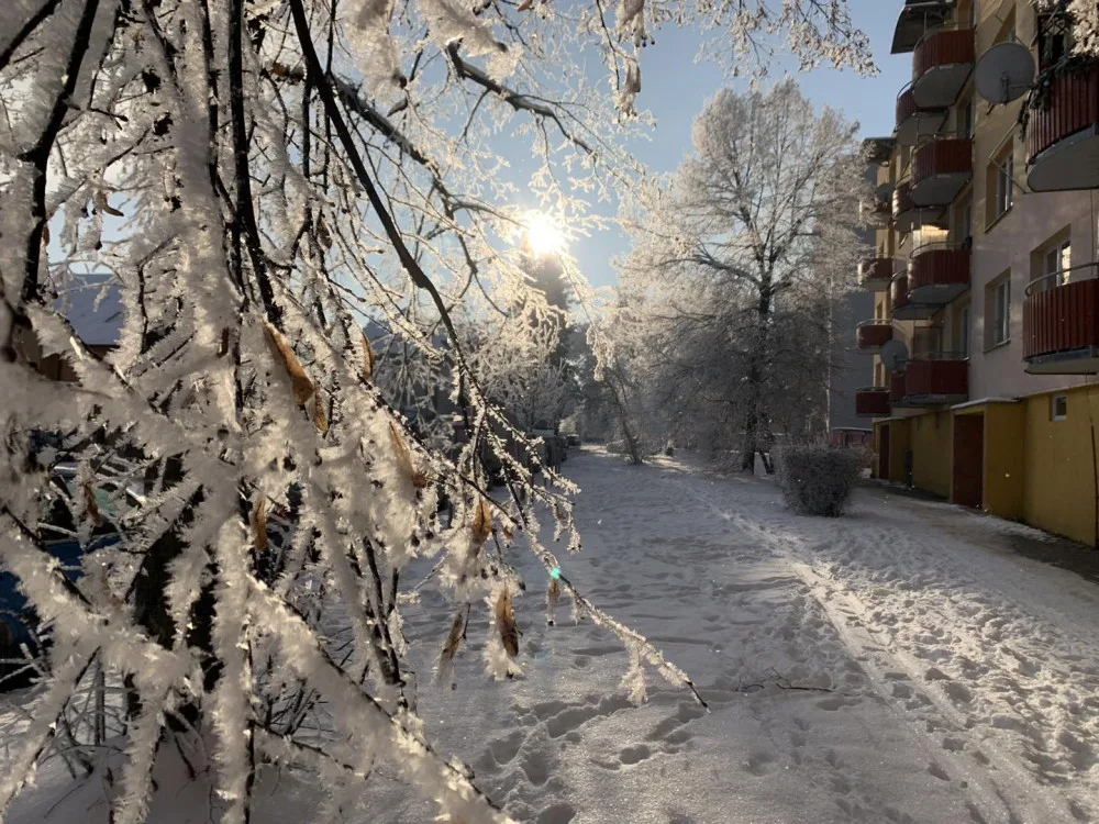 Českobudějovické sídliště Šumava v neděli ráno.
