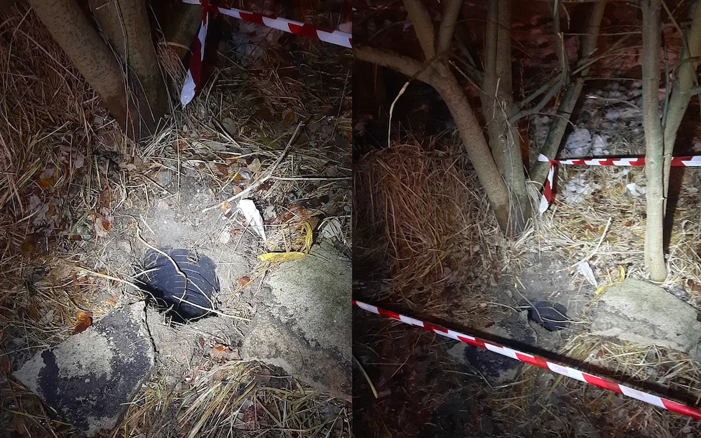 Dvouměsíční štěně uvízlo v rouře s vodou. Vytáhnout ho museli policisté spolu s hasiči